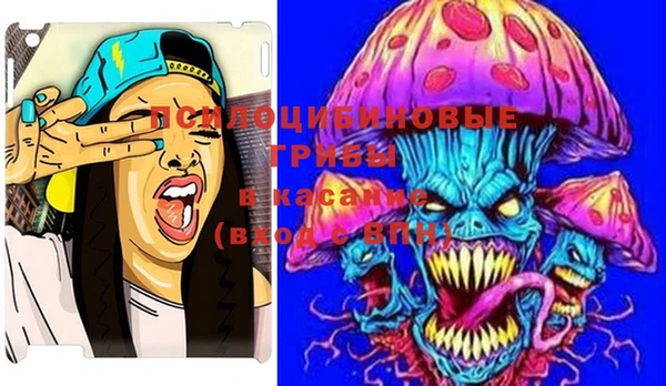 PSILOCYBIN Михайлов
