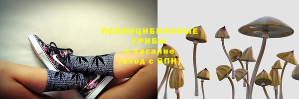 PSILOCYBIN Михайлов