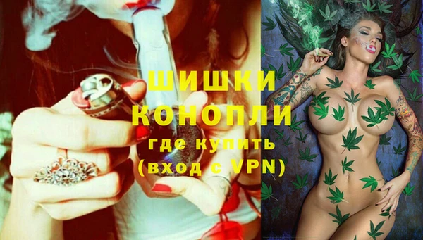 PSILOCYBIN Михайлов