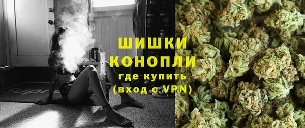 PSILOCYBIN Михайлов