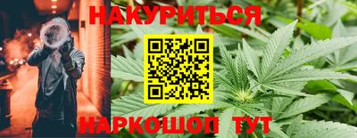 сатива Кулебаки