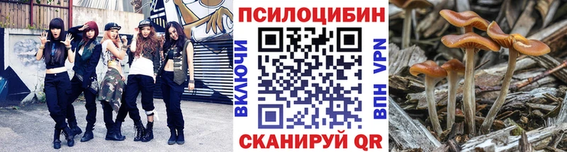Псилоцибиновые грибы GOLDEN TEACHER  Югорск 